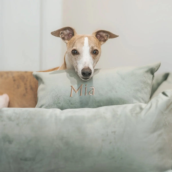 Dog Bed Cushion - Ruff and Tumble