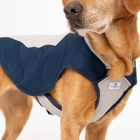 Dog Cooling Coat - Ruff and Tumble