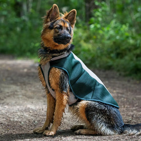 Dog Cooling Coat - Ruff and Tumble