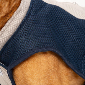 Dog Cooling Coat - Ruff and Tumble