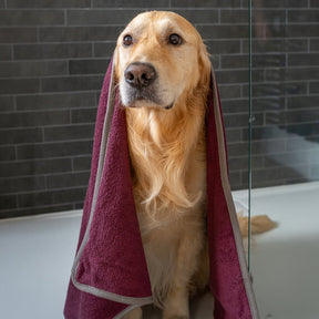 Dog Drying Towel - Burgundy - Ruff and Tumble