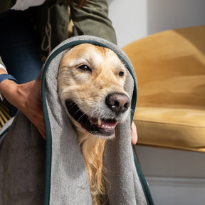 Dog Drying Towel - Flint - Ruff and Tumble