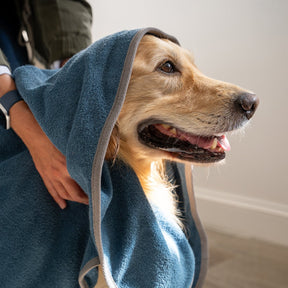 Dog Drying Towel - Teal - Ruff and Tumble