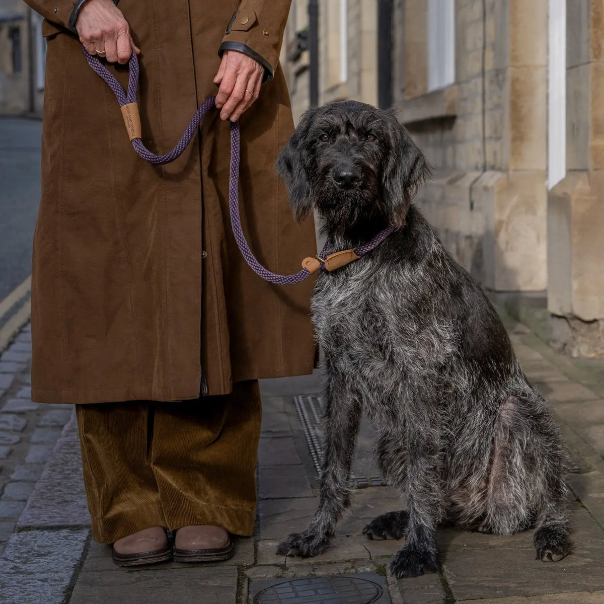 Dog Leads - Blackberry - Ruff and Tumble