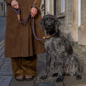Dog Leads - Blackberry - Ruff and Tumble