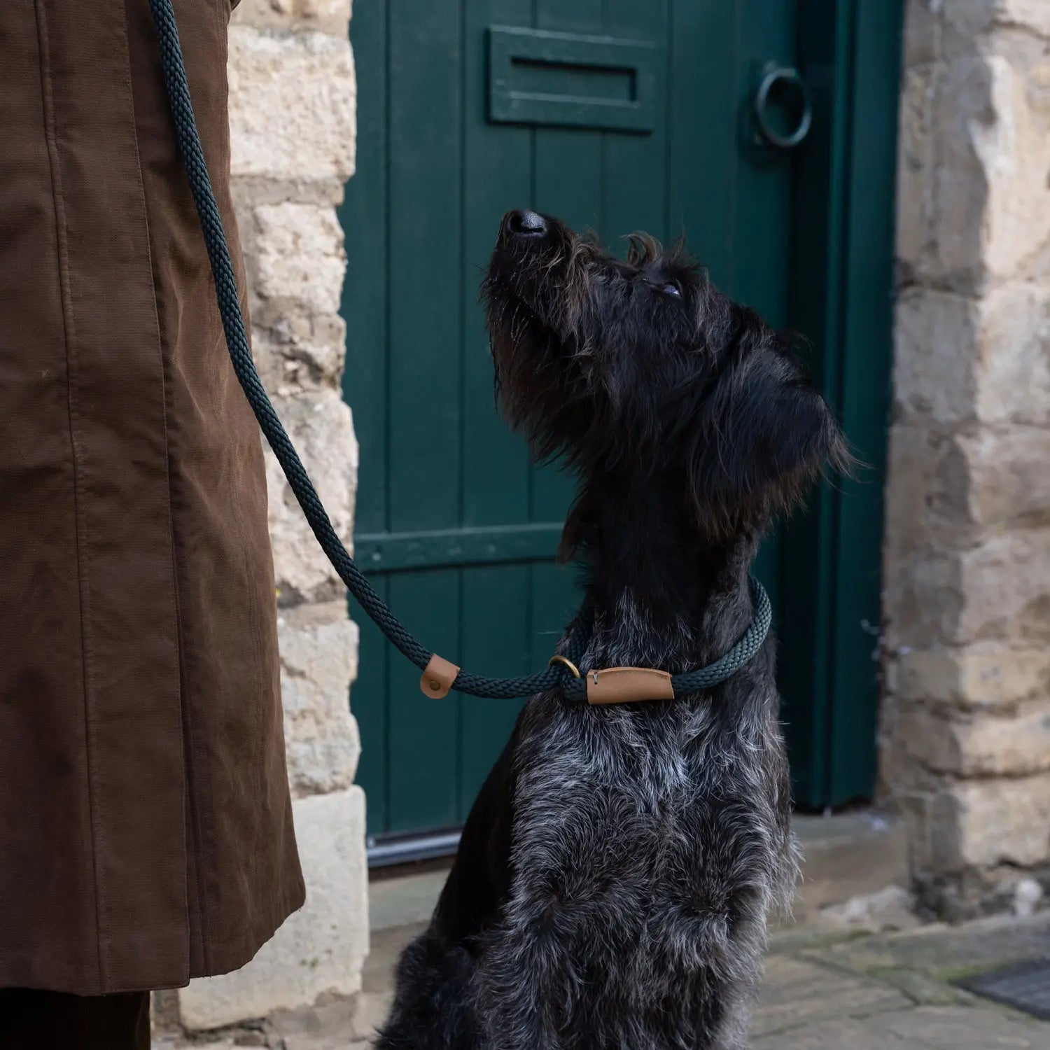 Dog Leads - Forest - Ruff and Tumble