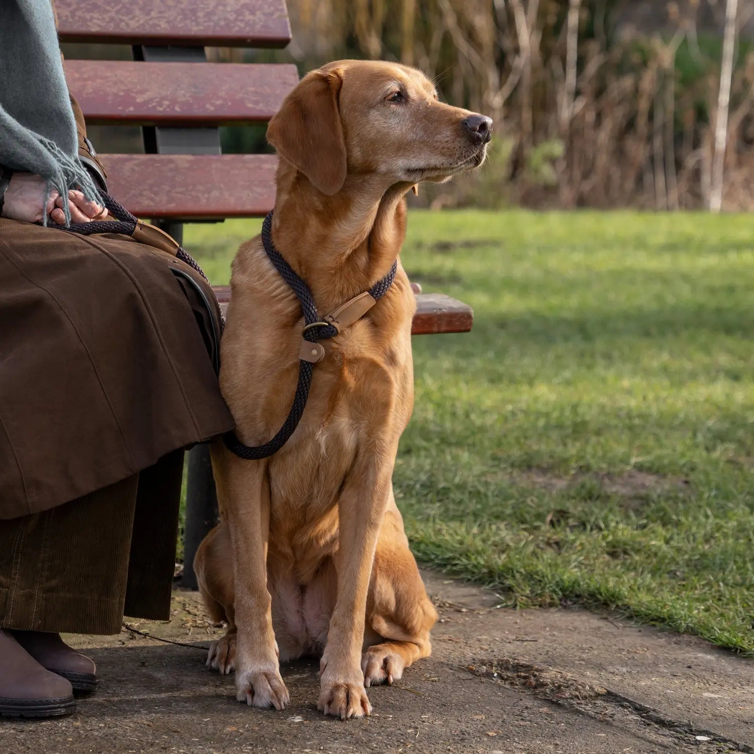 Dog Leads - Mud - Ruff and Tumble