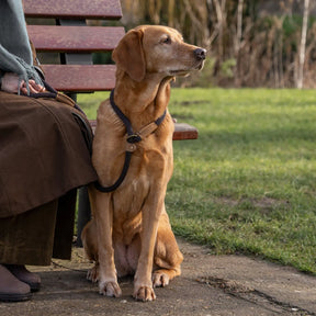 Dog Leads - Mud - Ruff and Tumble