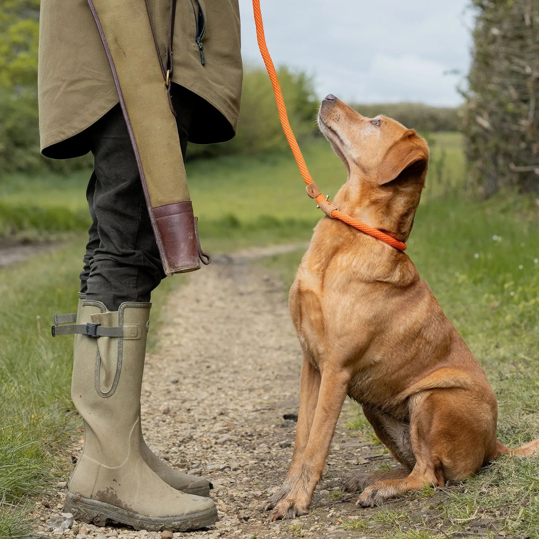 Dog Leads - Tangerine - Ruff and Tumble