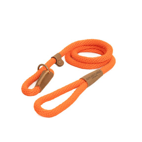Dog Leads - Tangerine - Ruff and Tumble