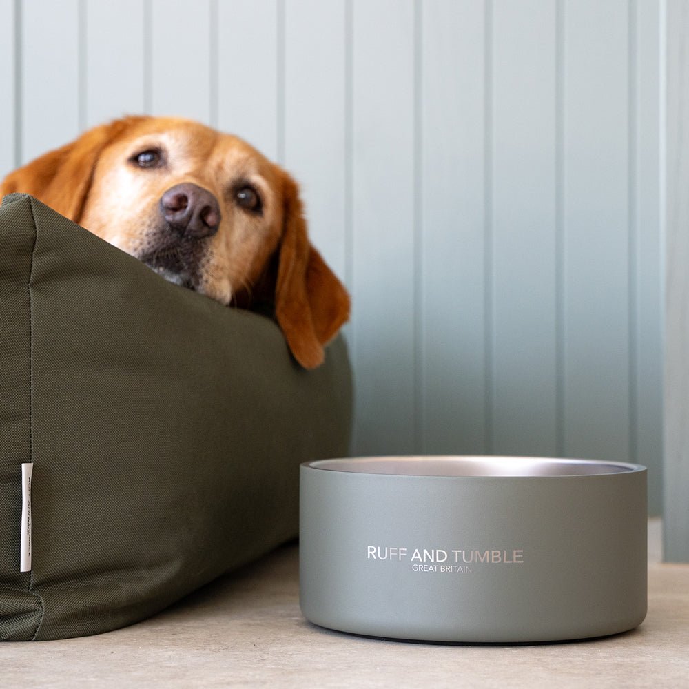 Double-walled Stainless Steel Dog Bowl - Sage - Ruff and Tumble