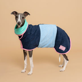 Dog wearing a multicolored coat on a beige background