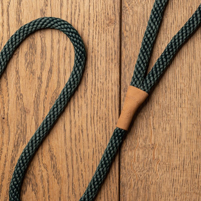 First Generation Dog Leads - Ruff and Tumble