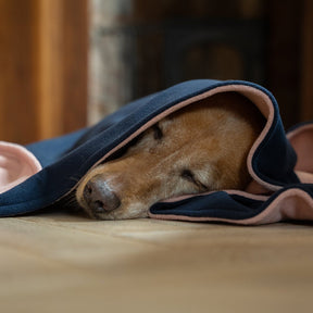 Fleece Dog Blanket - Dusky Peach & Navy - Ruff and Tumble