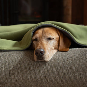 Fleece Dog Blanket - Moss & Storm - Ruff and Tumble