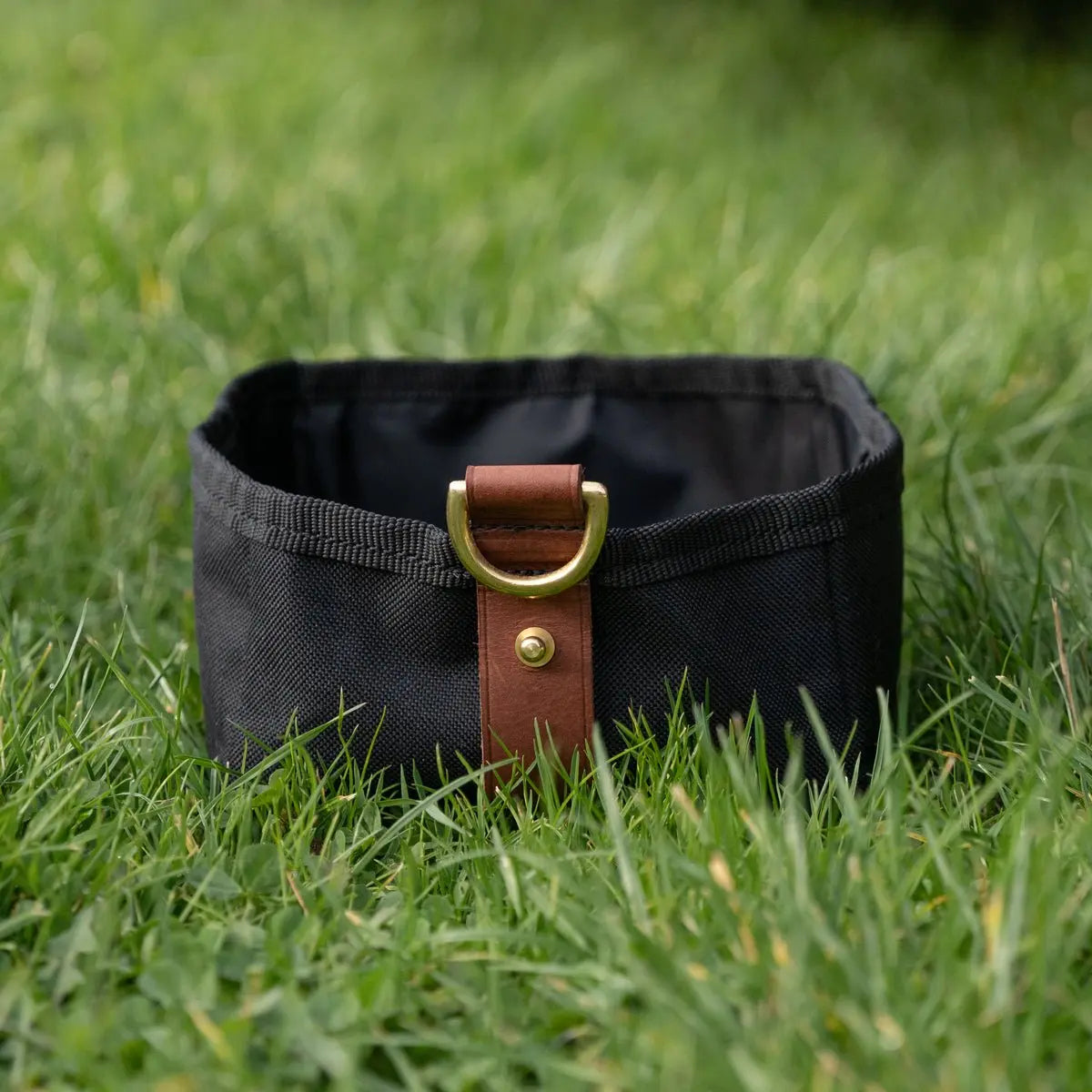 Foldable Travel Bowl - Black - Ruff and Tumble