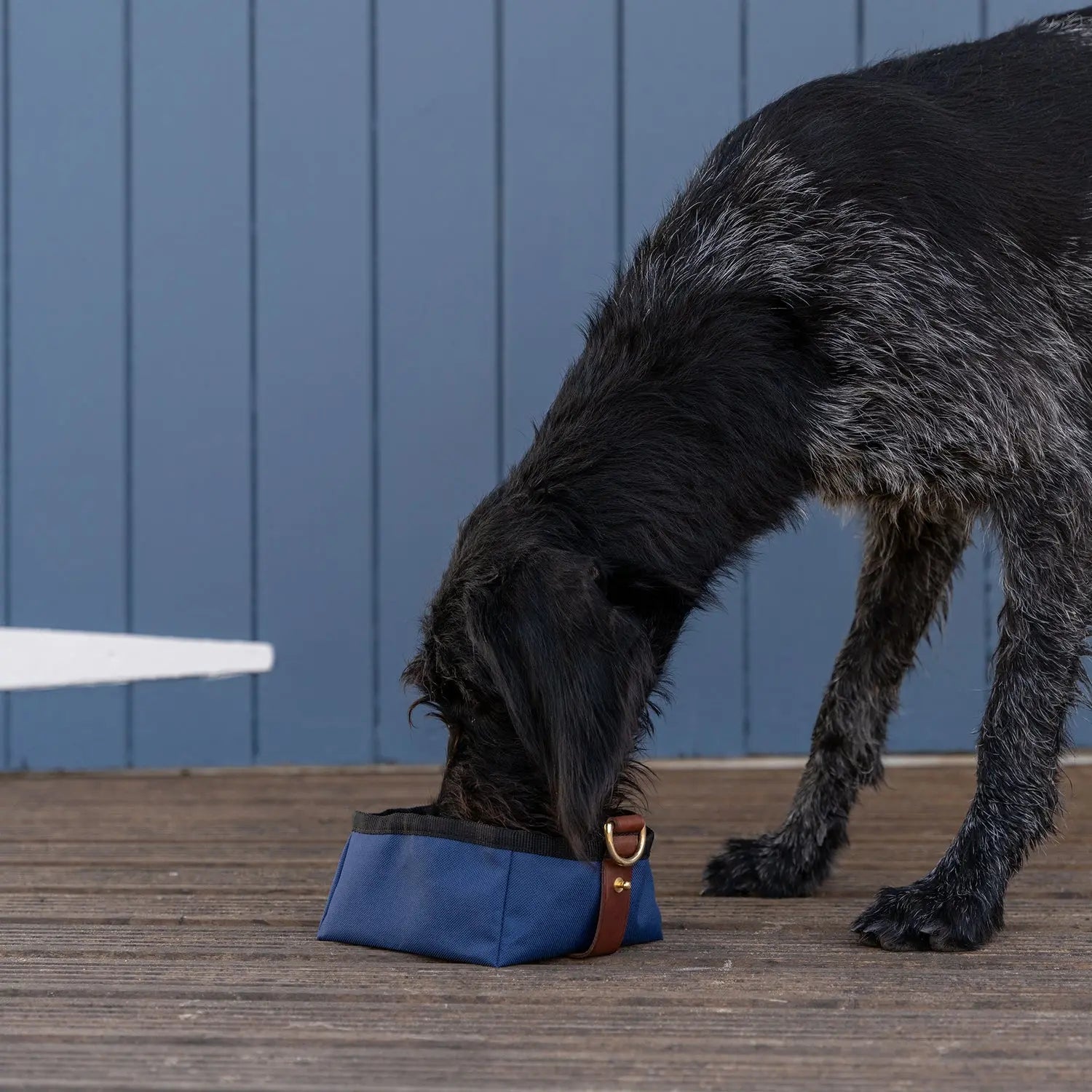 Foldable Travel Bowl - Navy - Ruff and Tumble