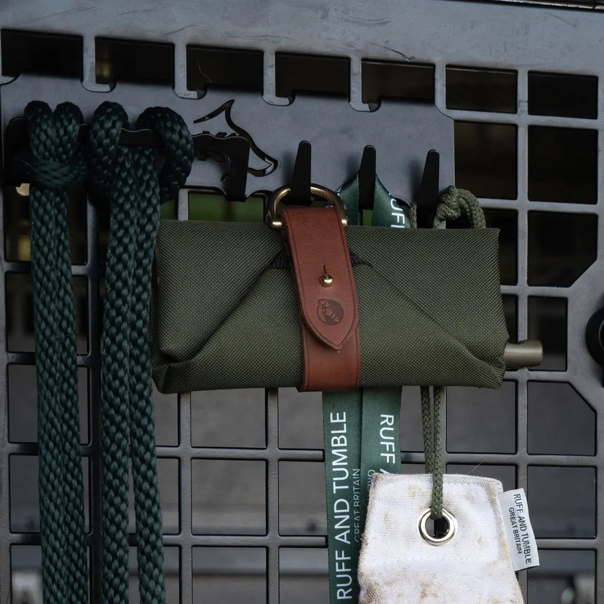 Foldable Travel Bowl - Olive - Ruff and Tumble