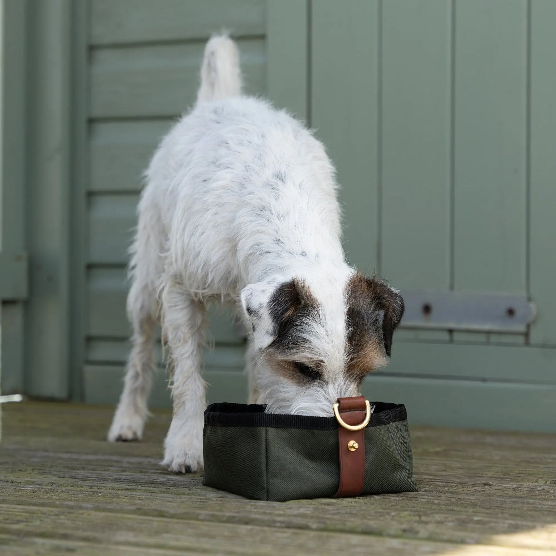 Foldable Travel Bowl - Olive - Ruff and Tumble