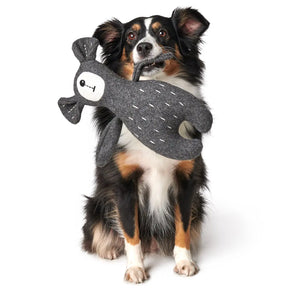 Hunter Bear Dog Toy - Ruff and Tumble