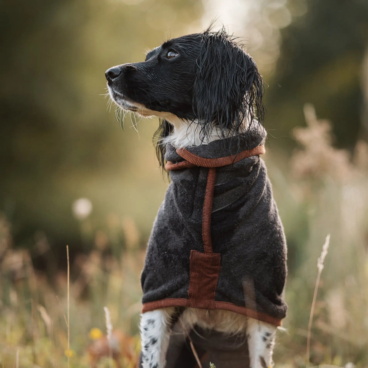 Limited Edition Country Dog Drying Coat - Gunmetal Grey - Ruff and Tumble