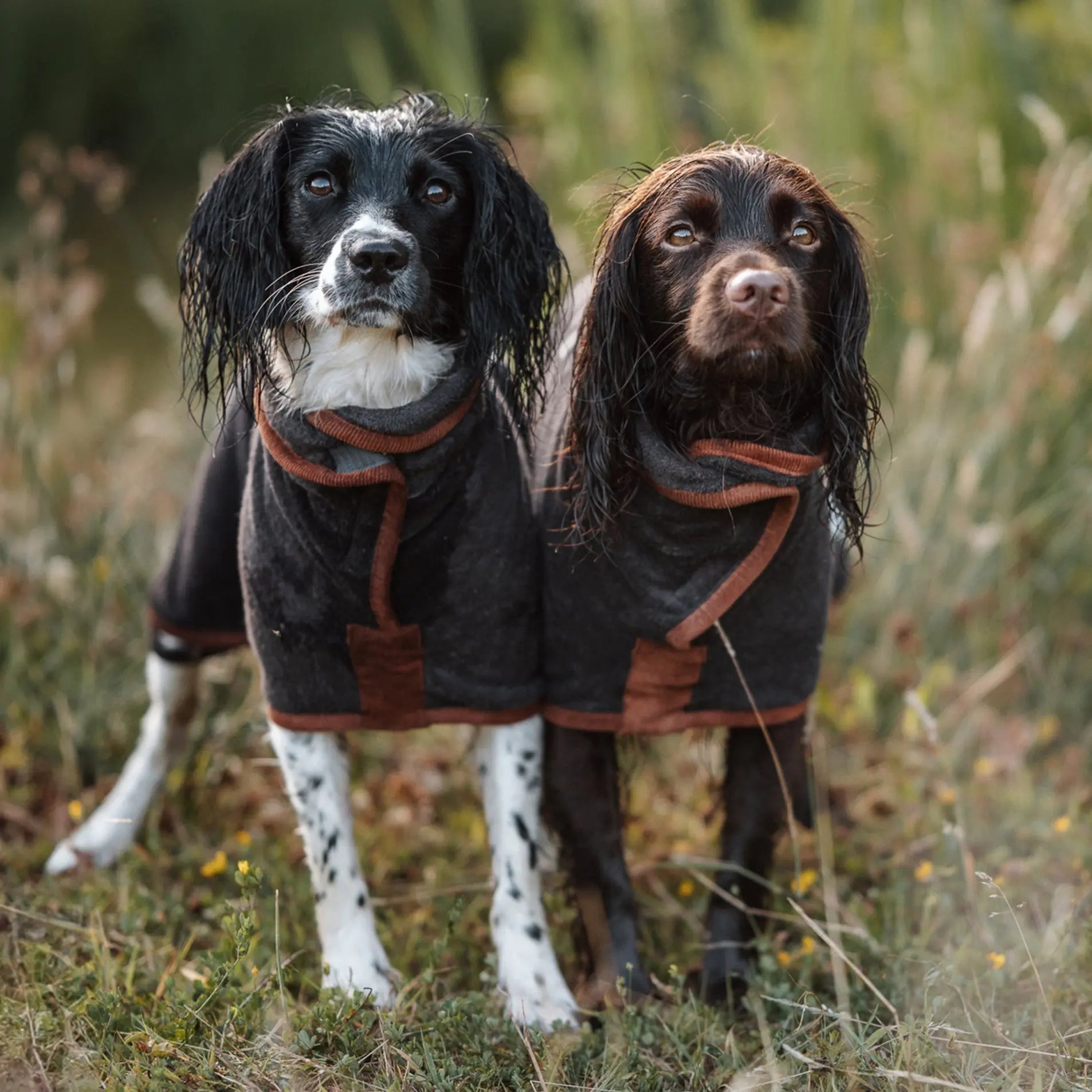 Limited Edition Country Dog Drying Coat - Gunmetal Grey - Ruff and Tumble