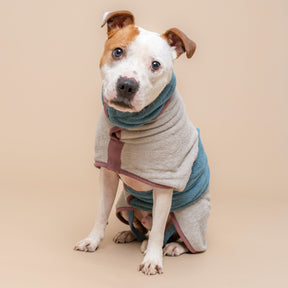 Limited Edition Dog Drying Coat - Crufts 2026 - Ruff and Tumble