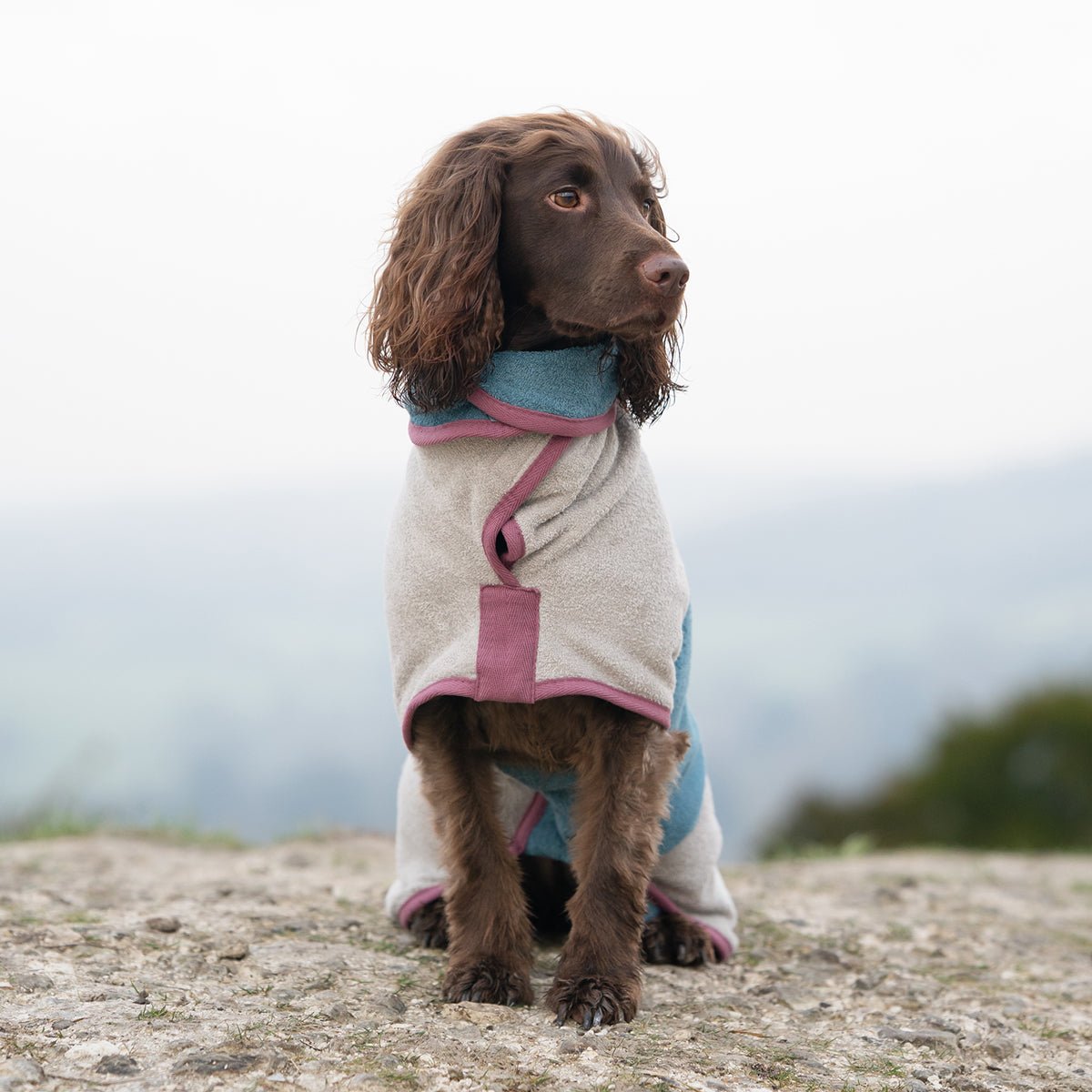 Limited Edition Dog Drying Coat - Crufts 2026 - Ruff and Tumble