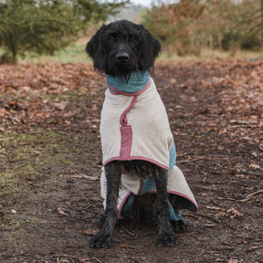 Limited Edition Dog Drying Coat - Crufts 2026 - Ruff and Tumble