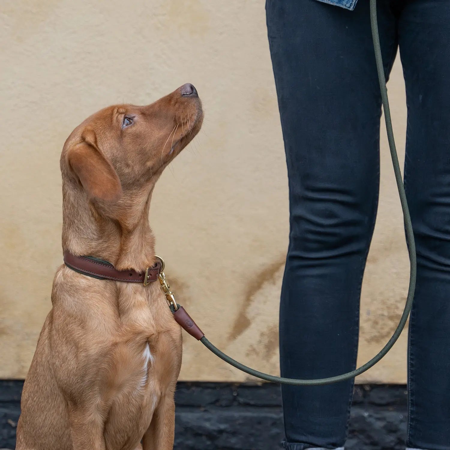 Morston Rolled Clip Lead - Ruff and Tumble