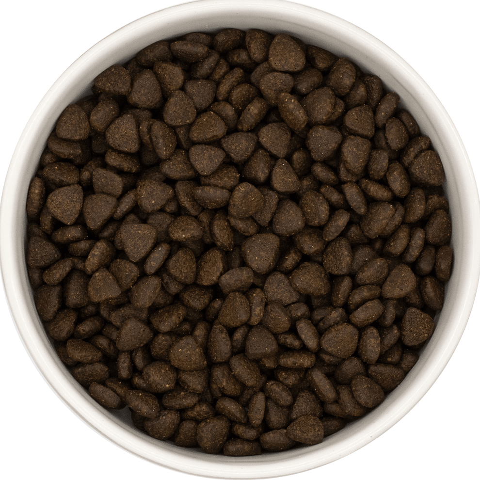 Pure-Vitality 65 Dog Food - Salmon & Superfoods - Puppy - Ruff and Tumble