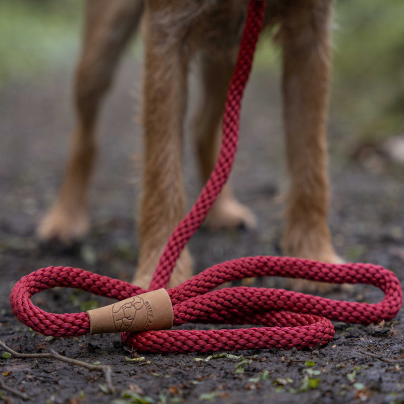 First Generation Dog Leads