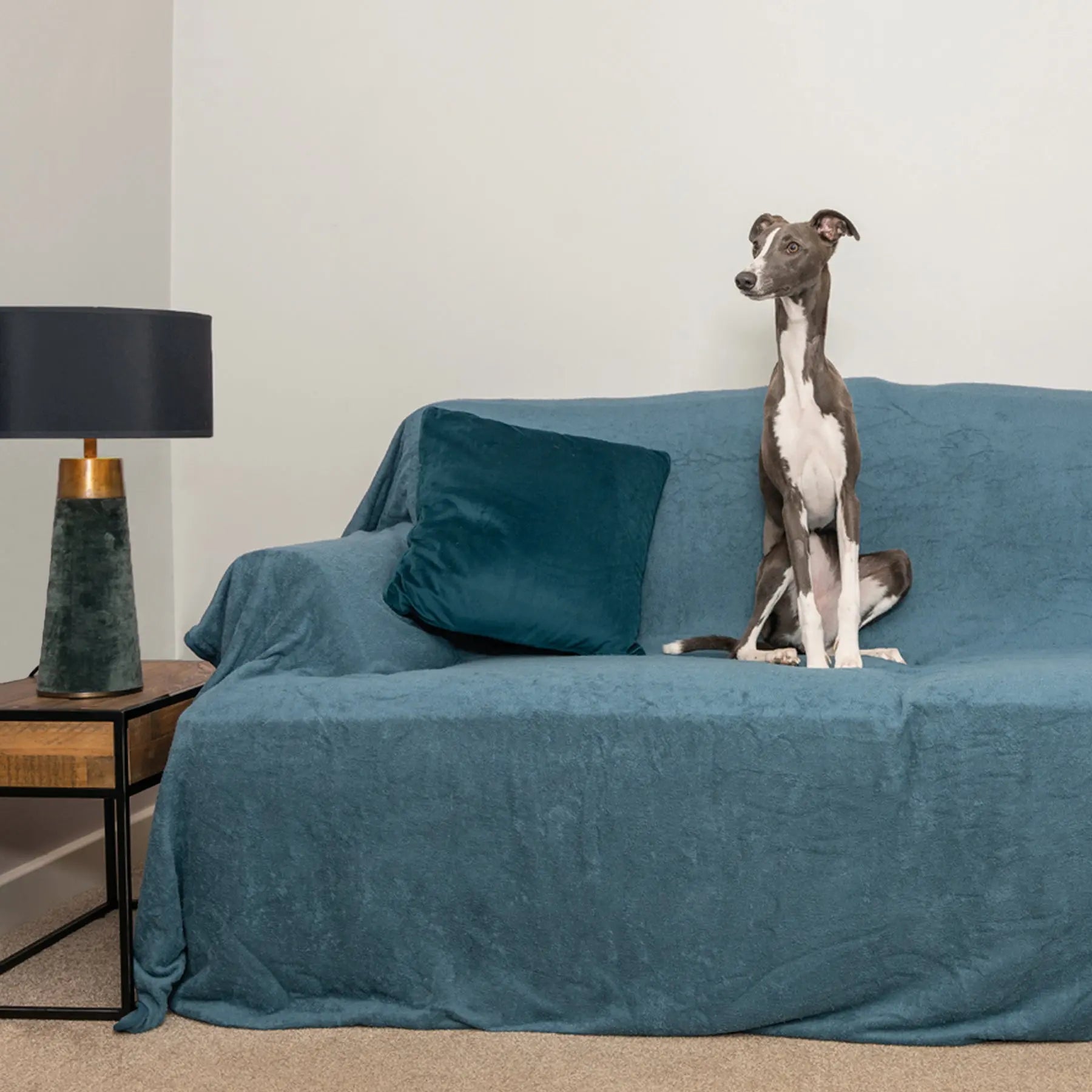 Sofa Throw - Teal - Ruff and Tumble
