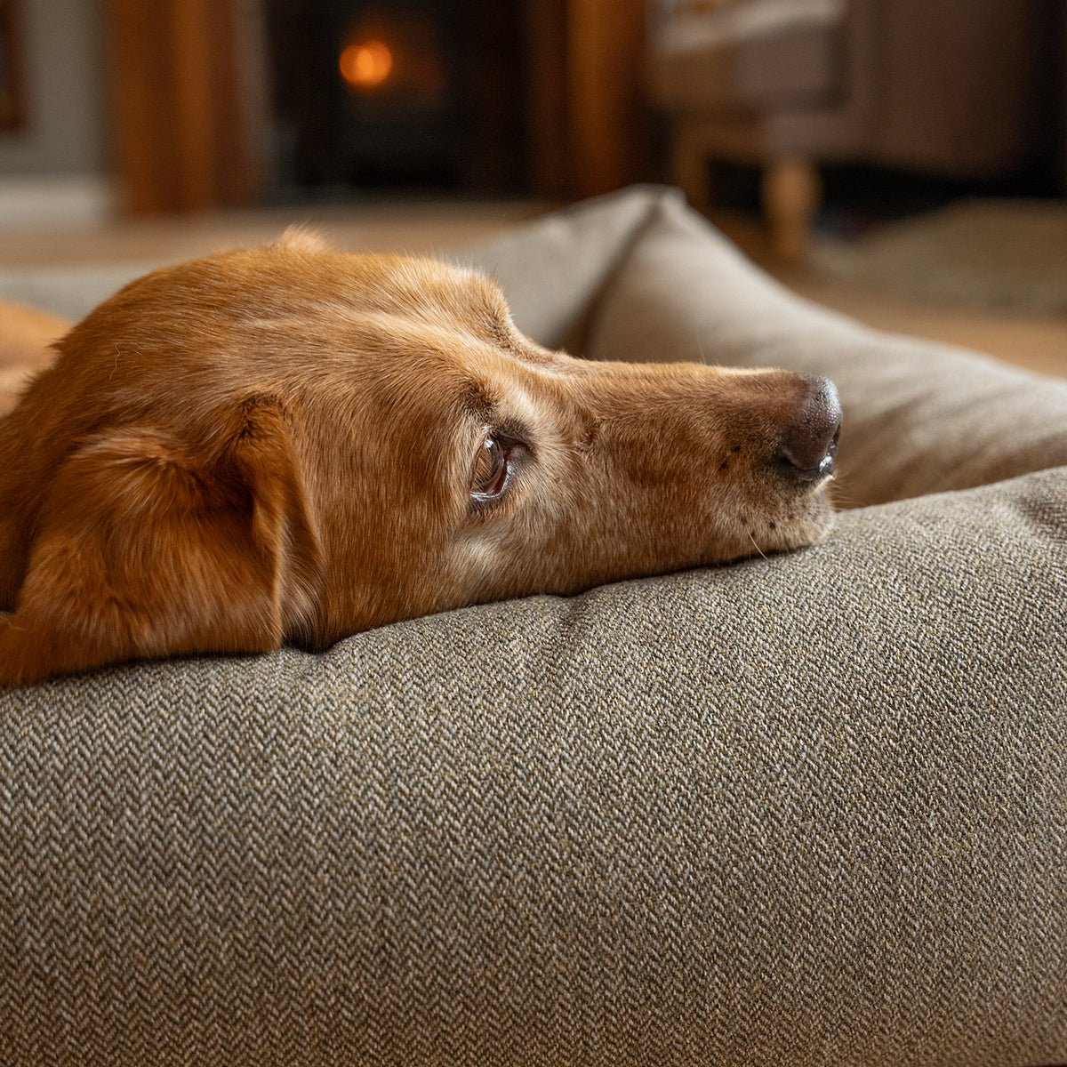 Burnham Bolster Dog Bed Spare Covers Ruff and Tumble 
