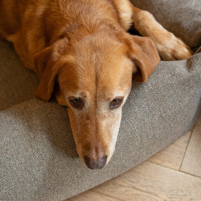 Tweed Burnham Bolster Dog Bed - Taupe - Ruff and Tumble