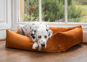 Velvet Burnham Bolster Dog Bed - Burnt Orange - Ruff and Tumble