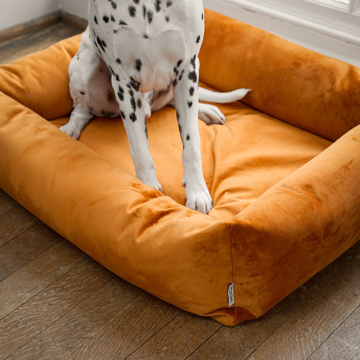 Velvet Burnham Bolster Dog Bed - Burnt Orange - Ruff and Tumble