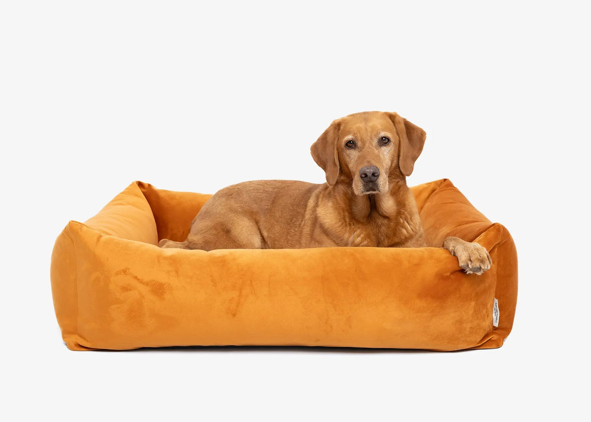 Velvet Burnham Bolster Dog Bed - Burnt Orange - Ruff and Tumble