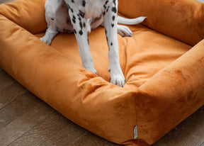 Velvet Burnham Bolster Dog Bed - Burnt Orange - Ruff and Tumble
