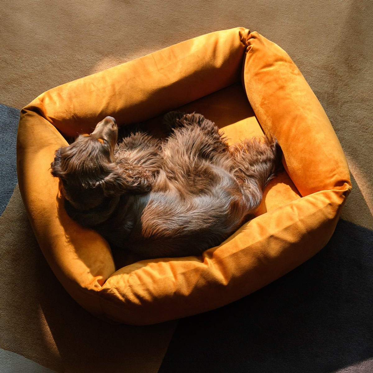 Velvet Burnham Bolster Dog Bed - Burnt Orange - Ruff and Tumble