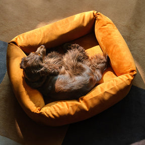 Velvet Burnham Bolster Dog Bed - Burnt Orange - Ruff and Tumble