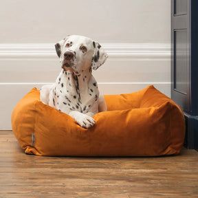 Velvet Burnham Bolster Dog Bed - Burnt Orange - Ruff and Tumble