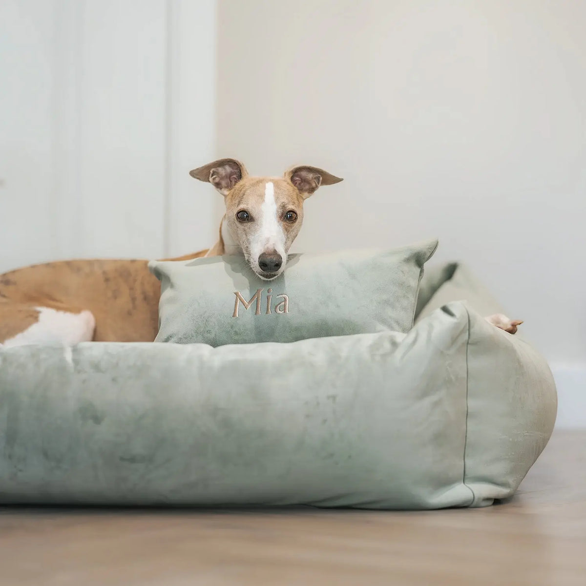 Velvet Burnham Bolster Dog Bed - Pistachio - Ruff and Tumble