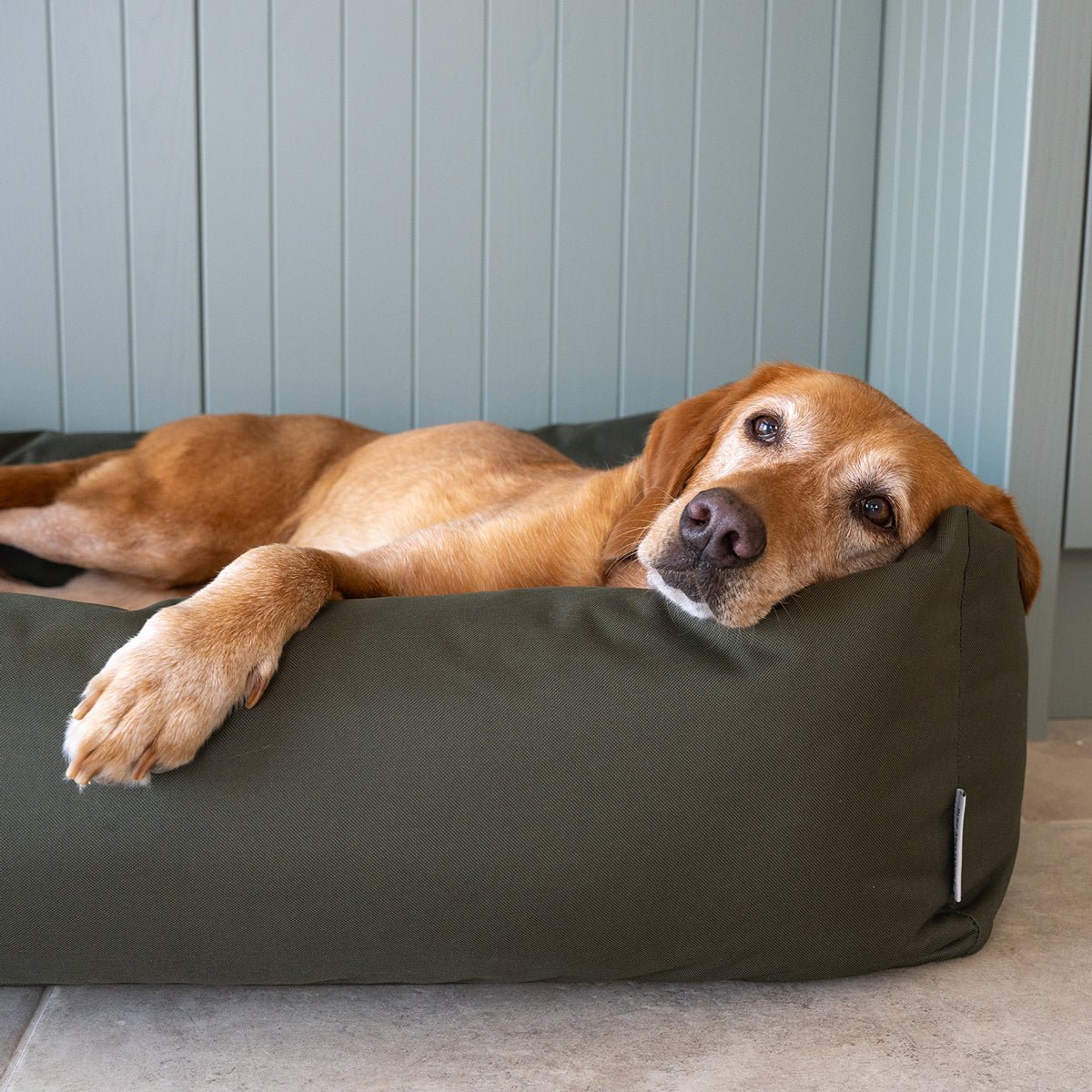 Waterproof Burnham Bolster Dog Bed - Olive - Ruff and Tumble