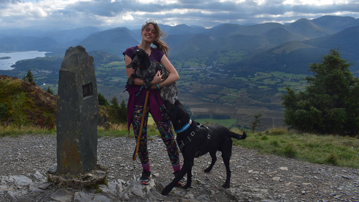 10 favourite dog walks with @paws.explore.north - Ruff and Tumble