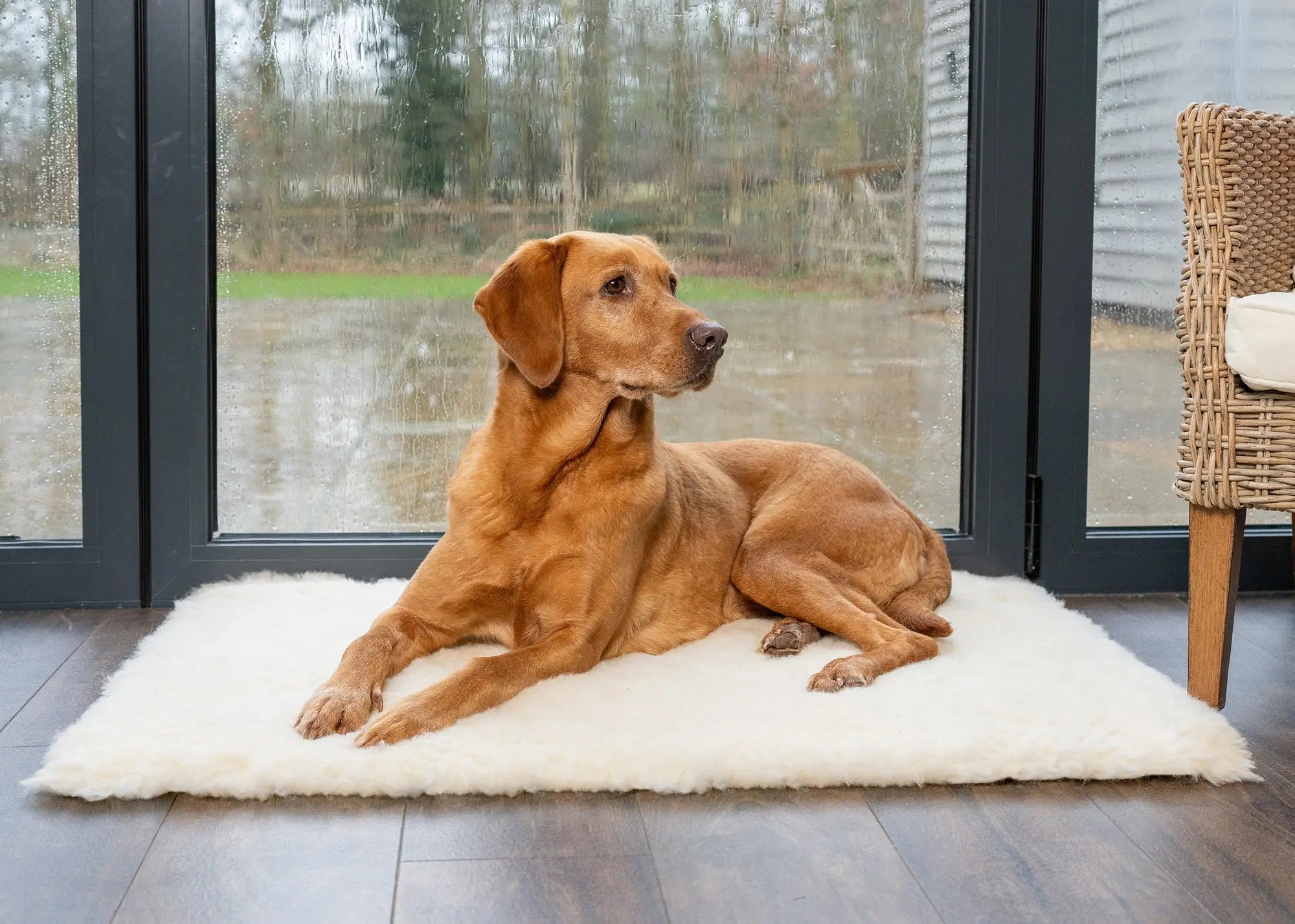 Wool Fleece Topper - Ruff and Tumble