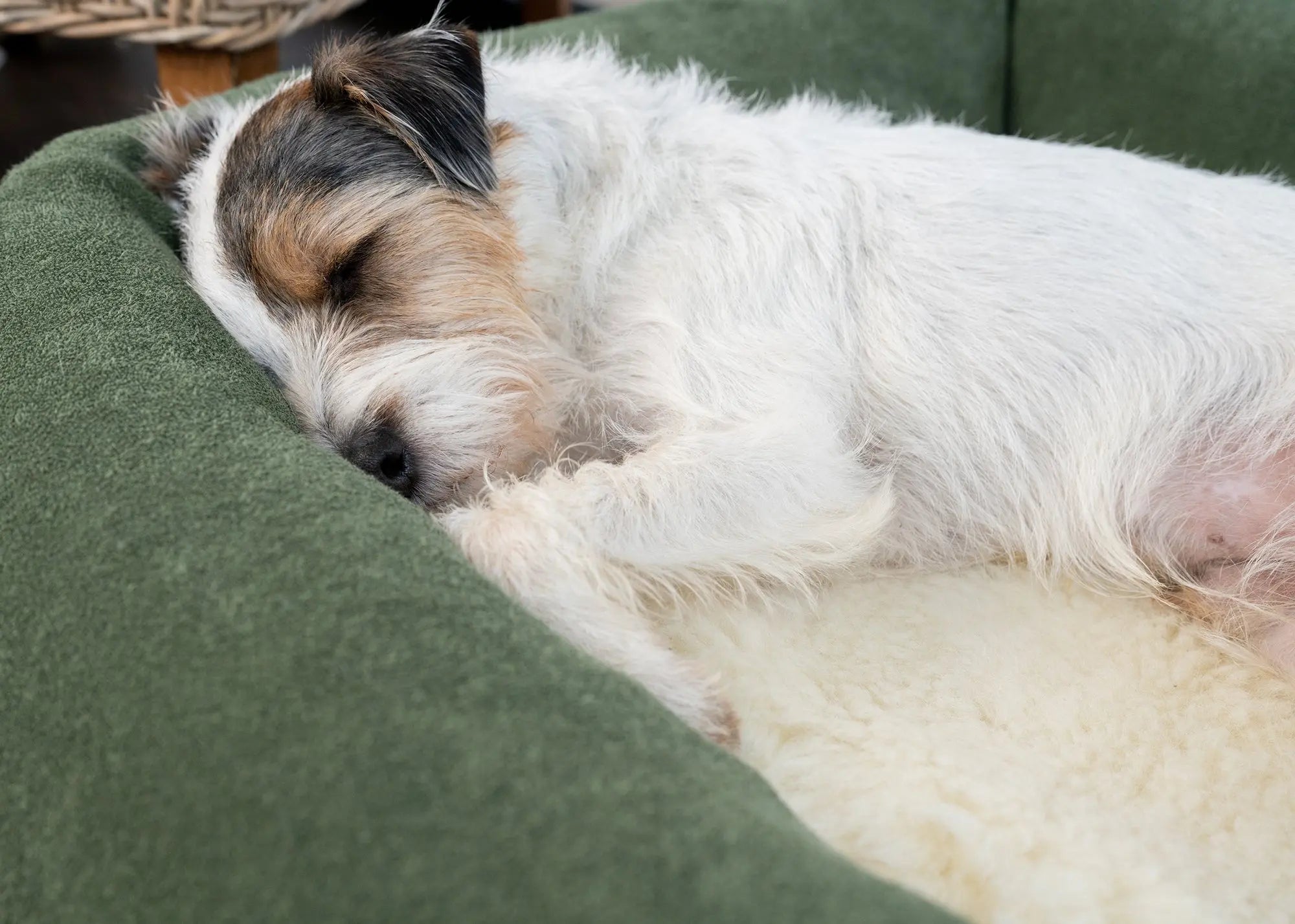 Wool Fleece Topper - Ruff and Tumble
