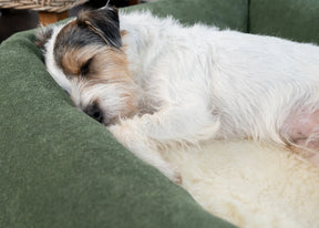 Wool Fleece Topper - Ruff and Tumble