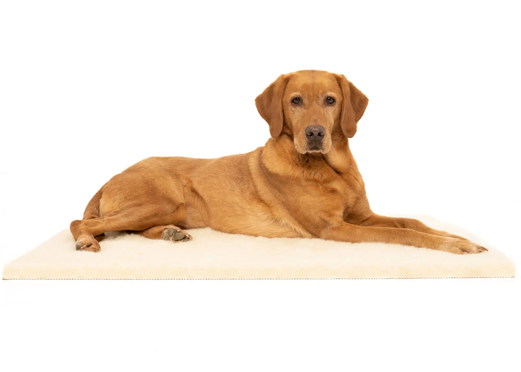 Wool Fleece Topper - Ruff and Tumble