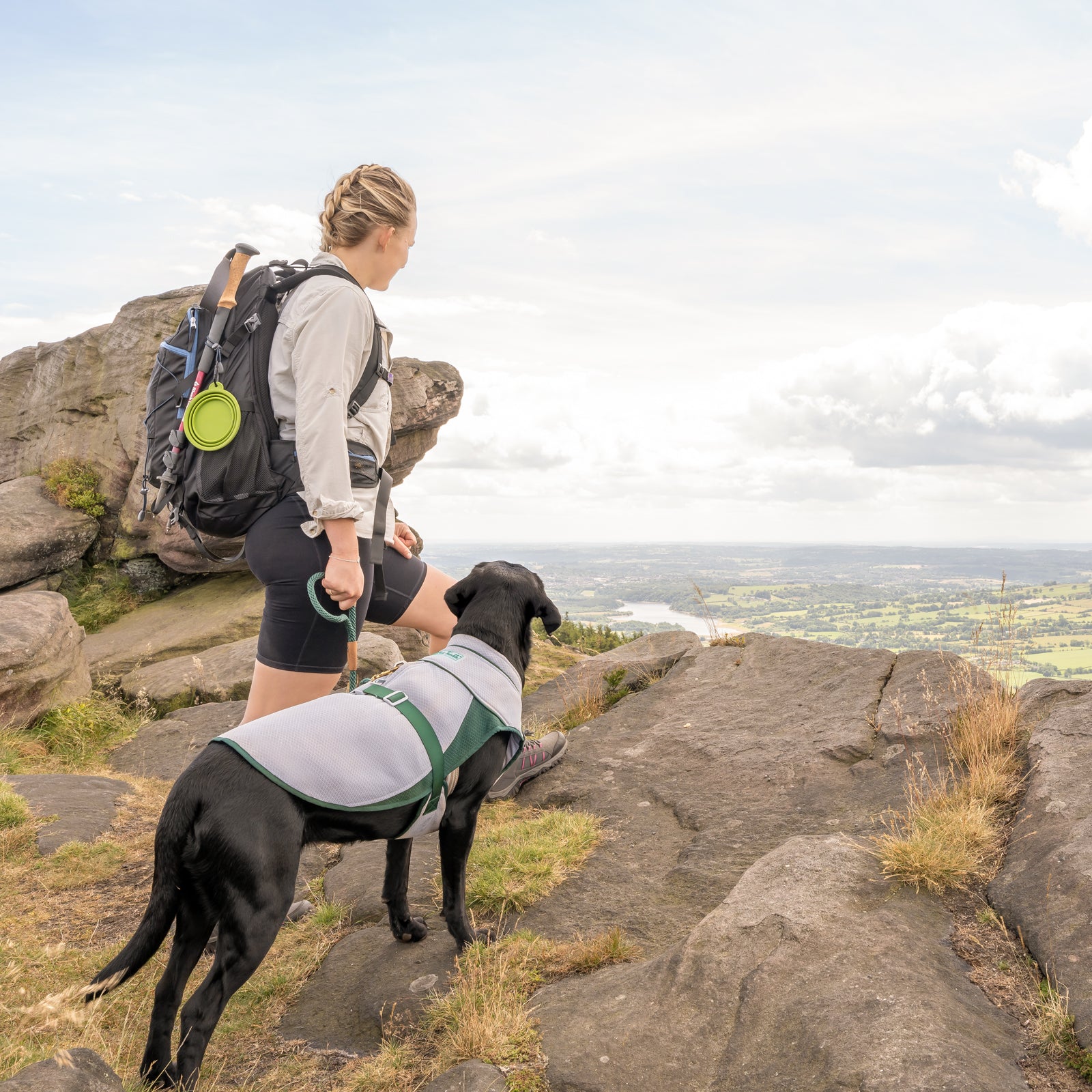 Dog Cooling Coat